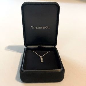 Tiffany & Co Necklace